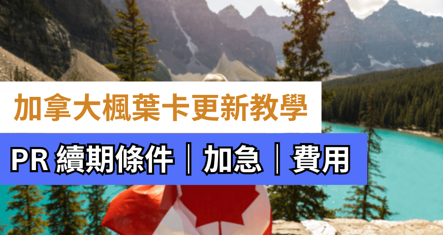 加拿大枫叶卡更新